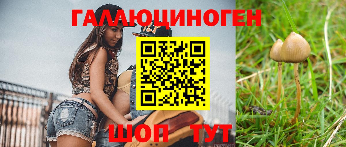Галлюциногенные грибы мухоморы Северобайкальск
